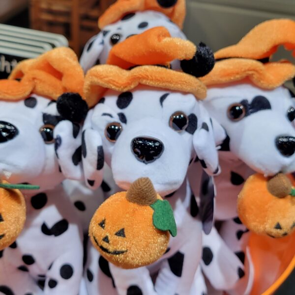 Dalmatian with Pumpkin
