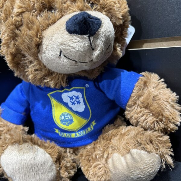 Plush Blue Angel Bear